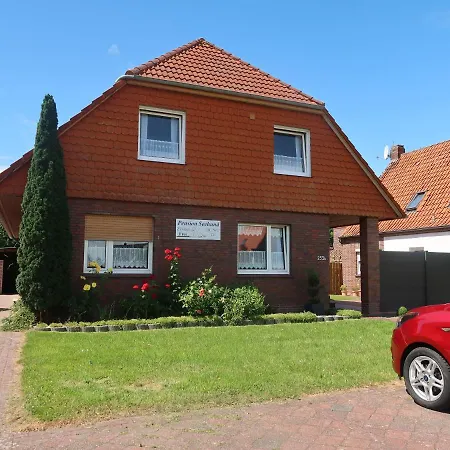 Seehund In Norddeich