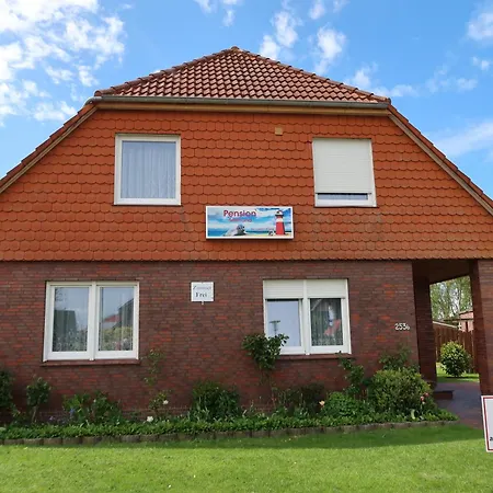 Seehund In Norddeich