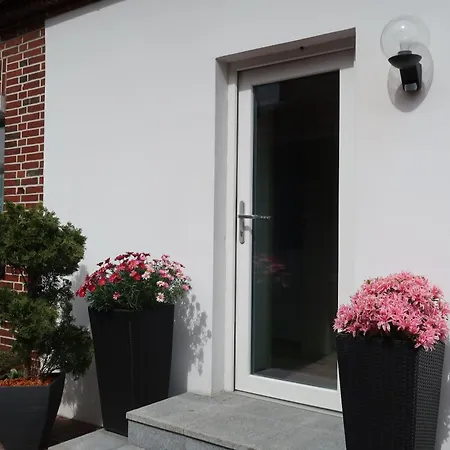 Seehund In Norddeich Pensionat Norden